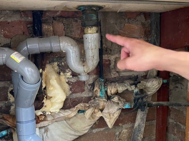 Best Water damage restoration company  in Clayton, NJ