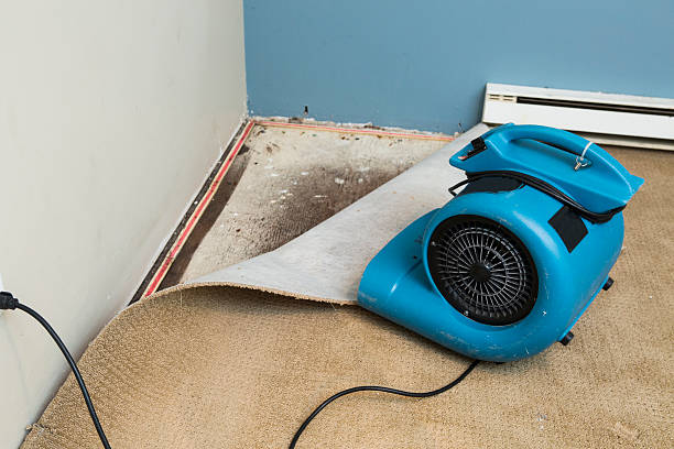 Best Water damage contractors near me  in Clayton, NJ